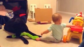 Собаки и малыши смотреть видео - 10:26