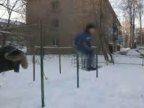 Видео Страусом в снег