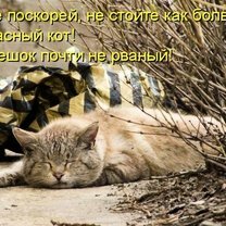 Фото приколы Юмористичная котоматрица (23 фото)