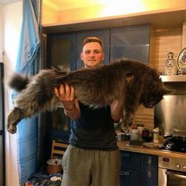 Фото приколы Самые большие кошки в мире (29 фото)