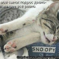 Фото приколы Весёлые и милые котоматрицы (36 фото)