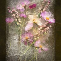 Фото приколы Цветы во льду (15 фото)