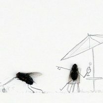Фото приколы Необычные картины с мухами (11 фото)