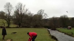 Смотреть Собака перепрыгивает речку