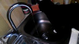 Смотреть Кот и струя воды