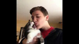 Смотреть Первый поцелуй с кошкой