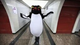 Пингвины в метрополитене