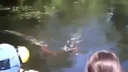 Мужик купается с крокодилами