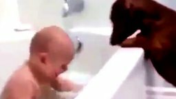 Малыш в ванной и такса