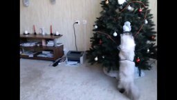 Смотреть Кошка и новогодняя ёлка