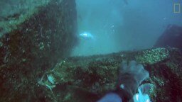 Смотреть Грабёж подводного охотника