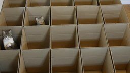 Смотреть Милота с кошками и коробками