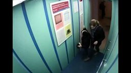 Чуть не повесили пса в лифте