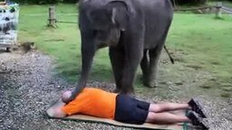 Смотреть Слоновий массаж для мужчины