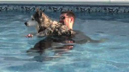 Смотреть Вода исцелила собаку