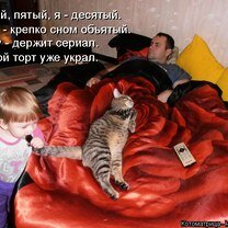 Фото приколы Приколы в котоматрице (38 фото)