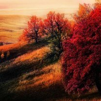 Фото приколы Красивая осень