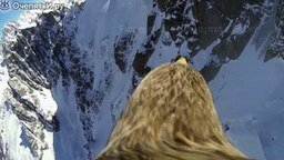 Полёт над Альпами глазами орла