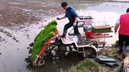 Машина для посадки риса