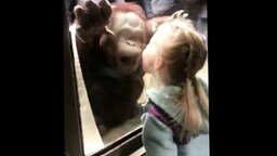 Дети и животные в зоопарке