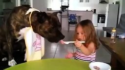 Девочка потчует пса