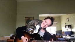 Хозяйка-гитаристка развлекает своего кота